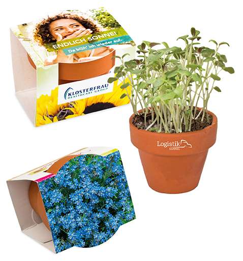 Logo-Töpfchen Überreichverpackung mit Samen