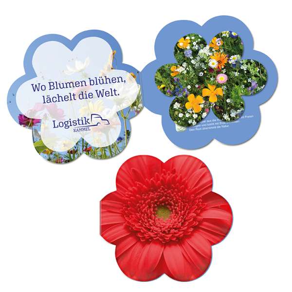 Samenpapier in Klappkärtchen Blume