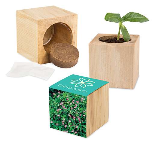 Pflanz-Holz Maxi mit Samen