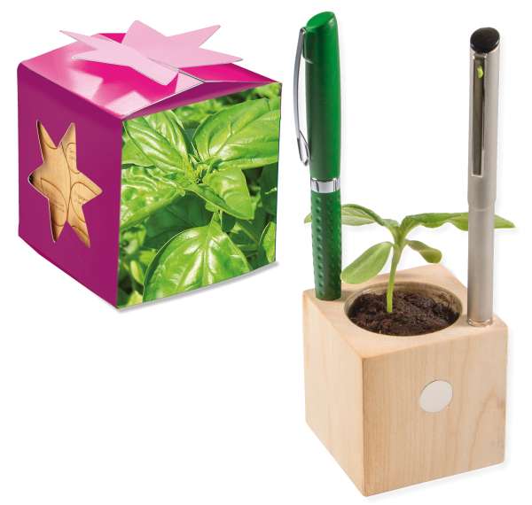 Pflanz-Holz Büro Star-Box mit Samen