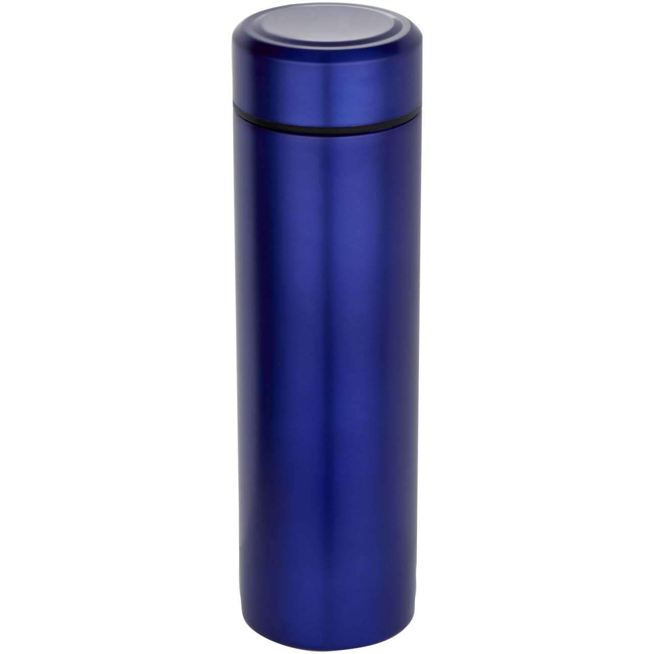 Taylor 450 ml Doppelwand Isolierflasche aus Edelstahl mit Teesieb