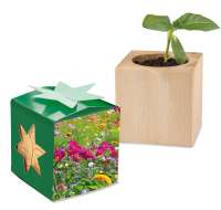 Sommerblumenmischung, 2 Seiten gelasert