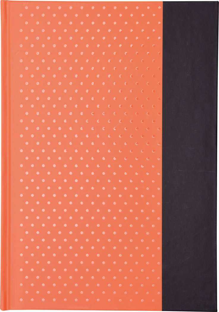 Notizbuch SIGNUM im DIN-A5-Format