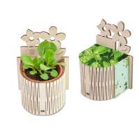 Basilikum, inkl. Lasergravur