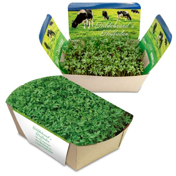 Pflanzodrom mit Samen