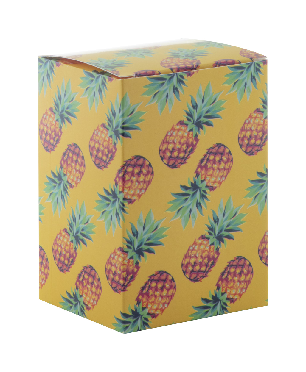 Individuelle Box CreaBox PB-300