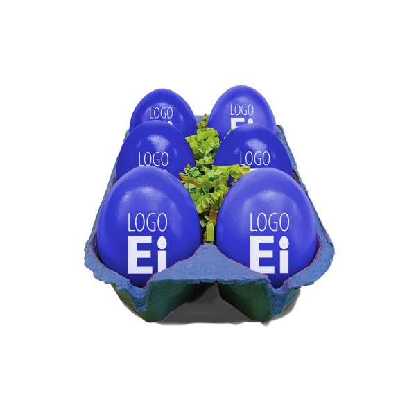 LogoEi 6er-Box blau
