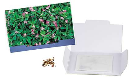 Flower-Card mit Samen