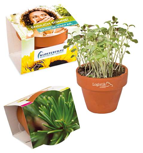 Logo-Töpfchen Überreichverpackung mit Samen