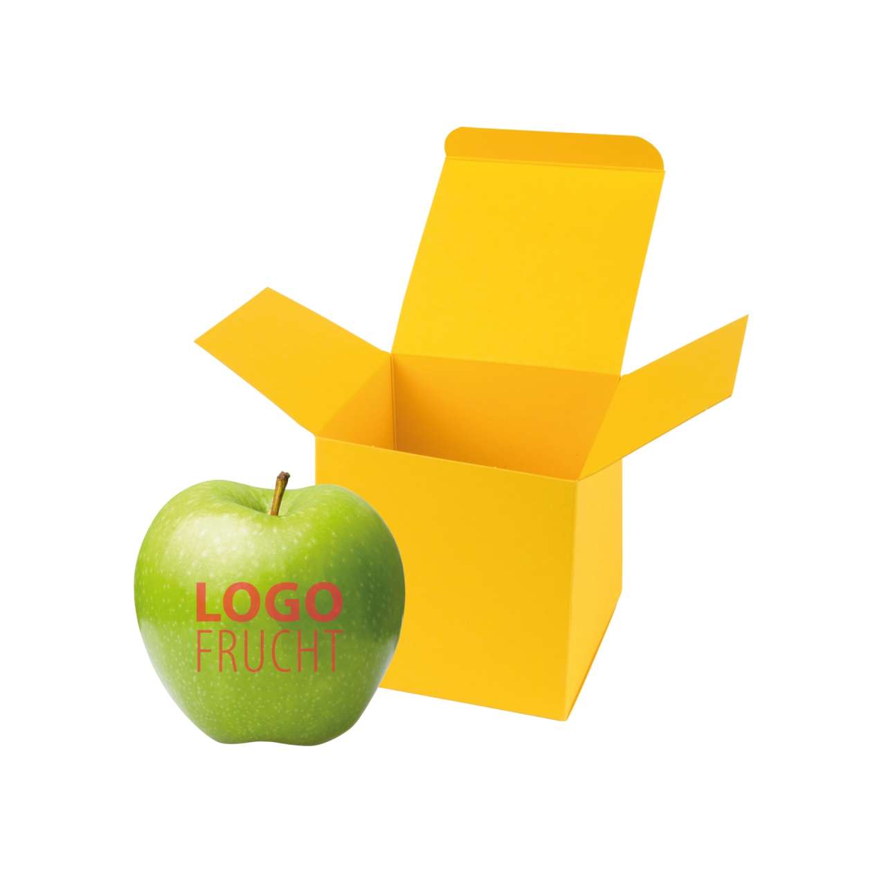 LogoFrucht Apfel grün ColorBox