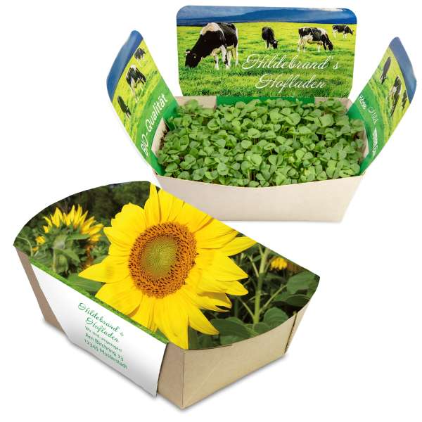 Pflanzodrom mit Samen