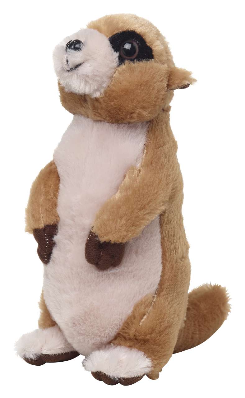 Erdmännchen Jürgen