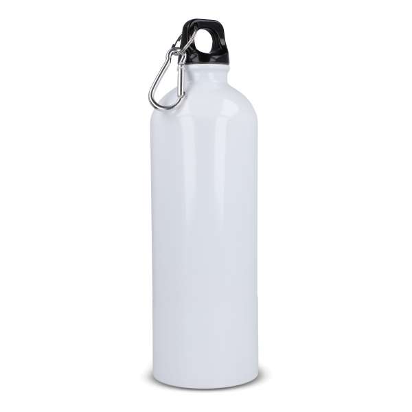 R-Edelstahl einwandige Flasche mit Karabiner 750ml