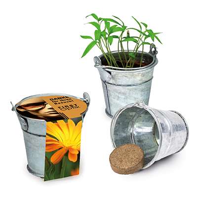 Pflanzeimerchen mit Samen