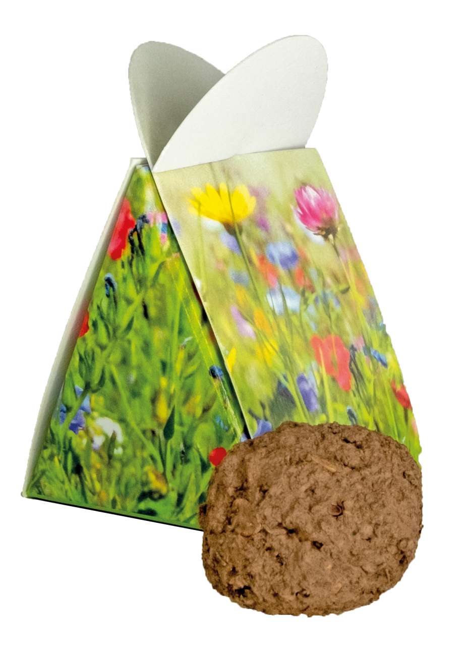 Blumige Überraschung