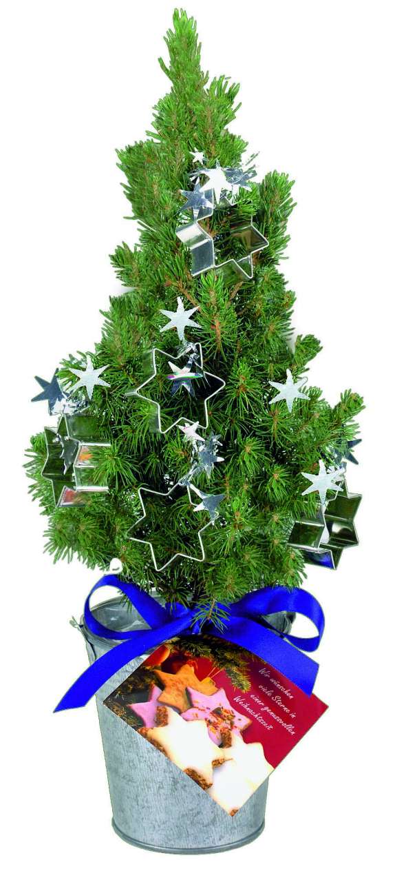 Backförmchen-Bäumchen 20-30 cm