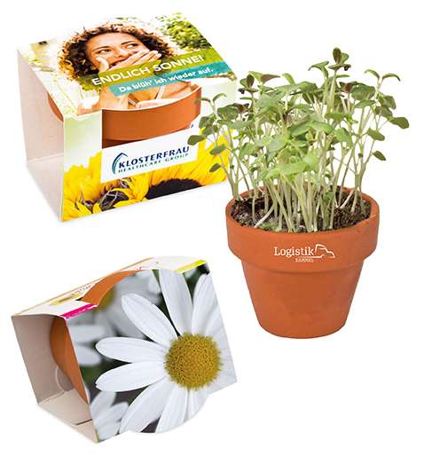 Logo-Töpfchen Überreichverpackung mit Samen