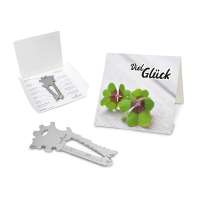 Key Tool Lion, Silber