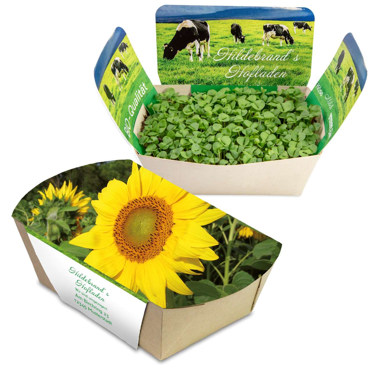 Pflanzodrom mit Samen