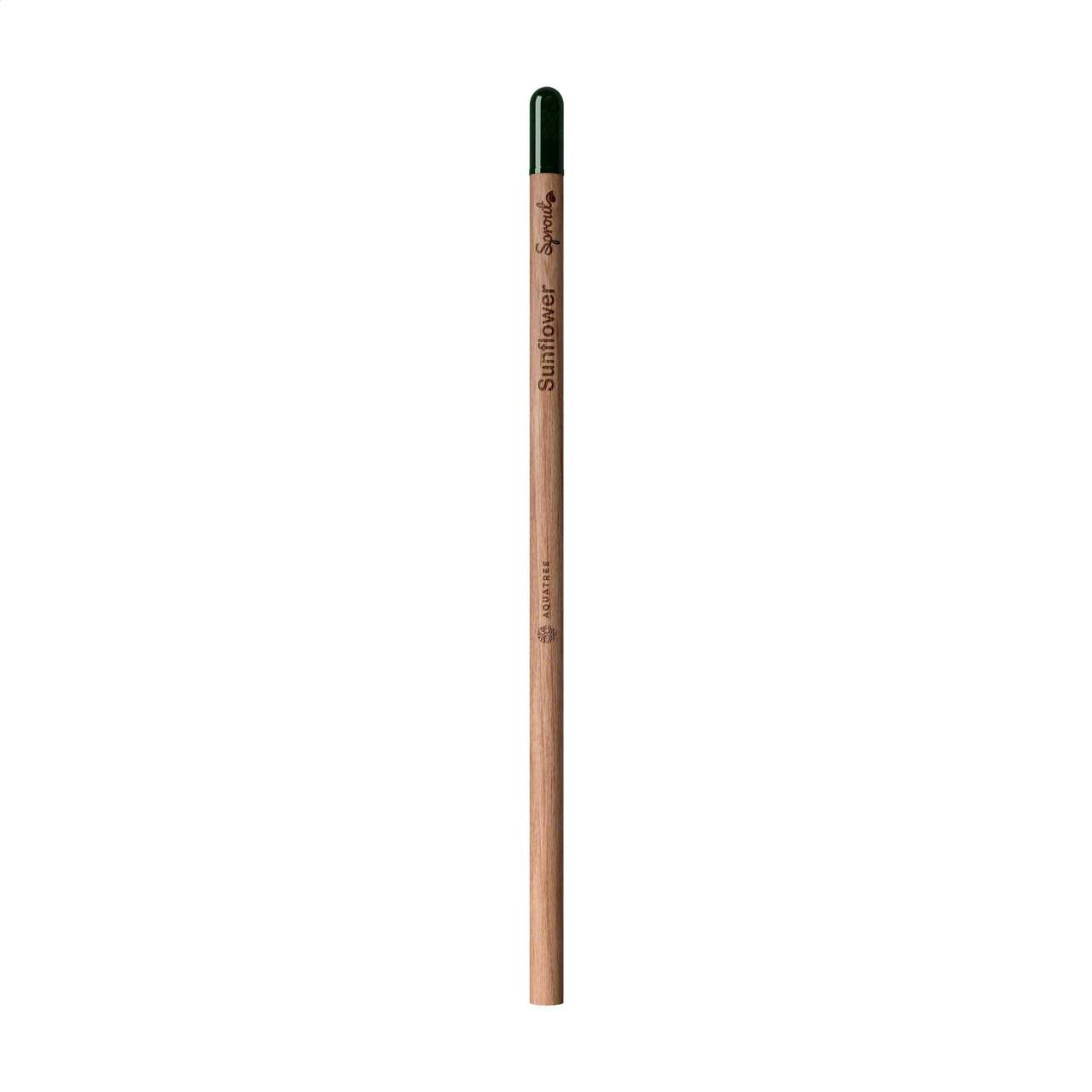 Sproutworld Unsharpened Pencil Bleisstift ungespitzt
