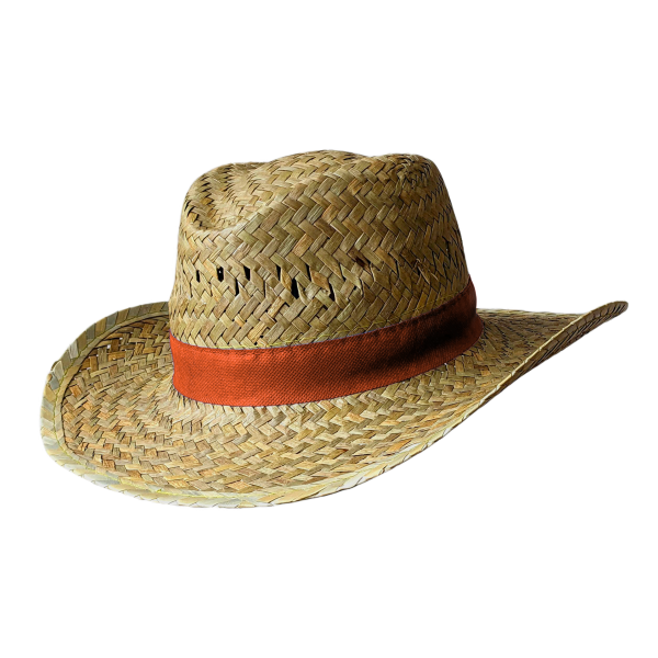 Strohhut Vital (natur) mit bedrucktem Hutband