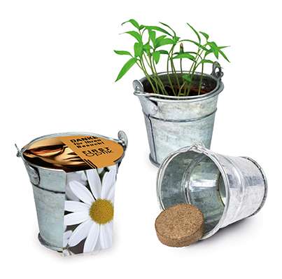 Pflanzeimerchen mit Samen