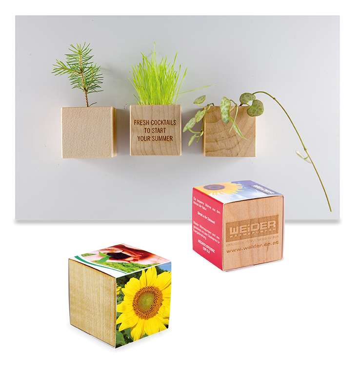 Pflanz-Holz Magnet mit Samen