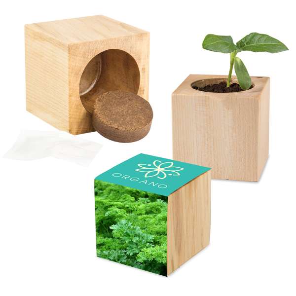 Pflanz-Holz Maxi mit Samen