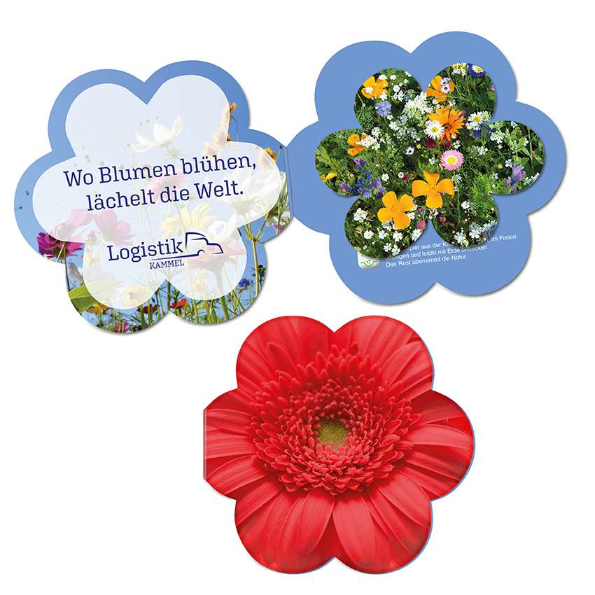Samenpapier in Klappkärtchen Blume