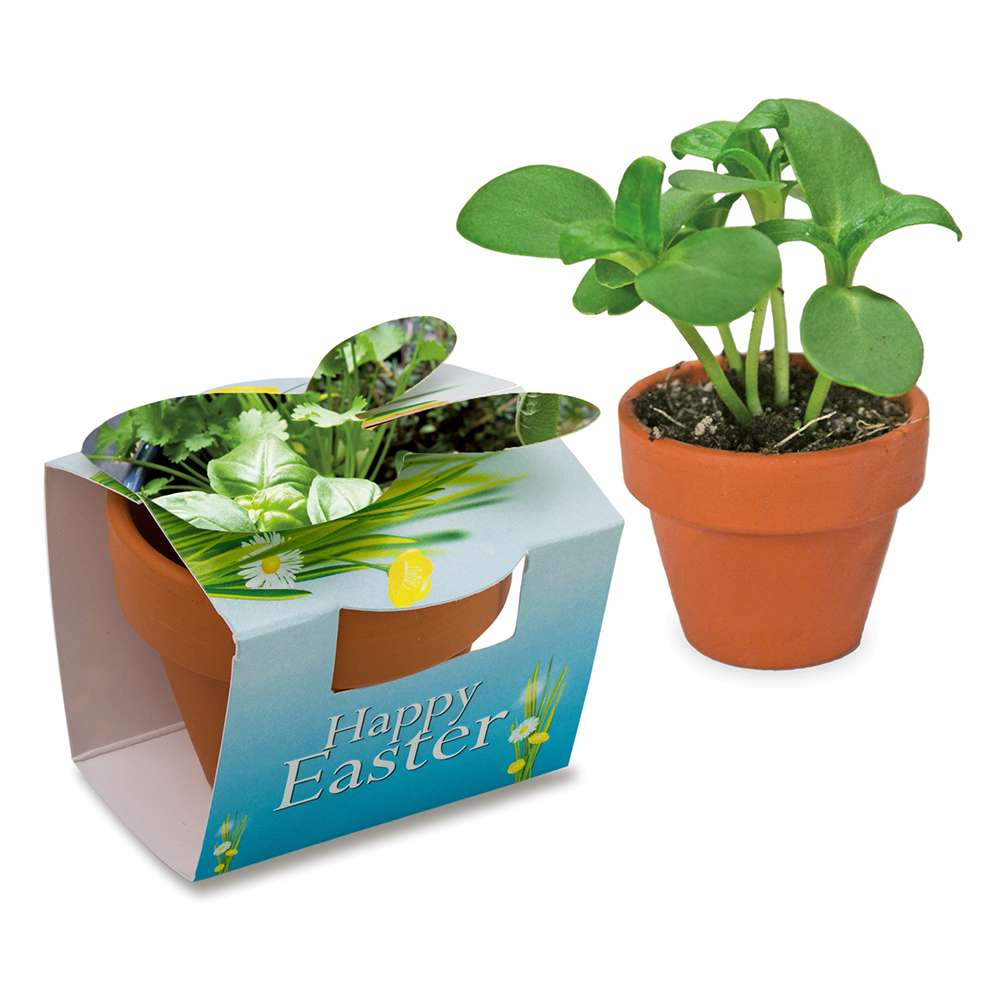 Tontöpfchen-Hase mit Samen