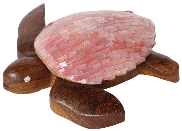Schildkröte exklusiv rosa
