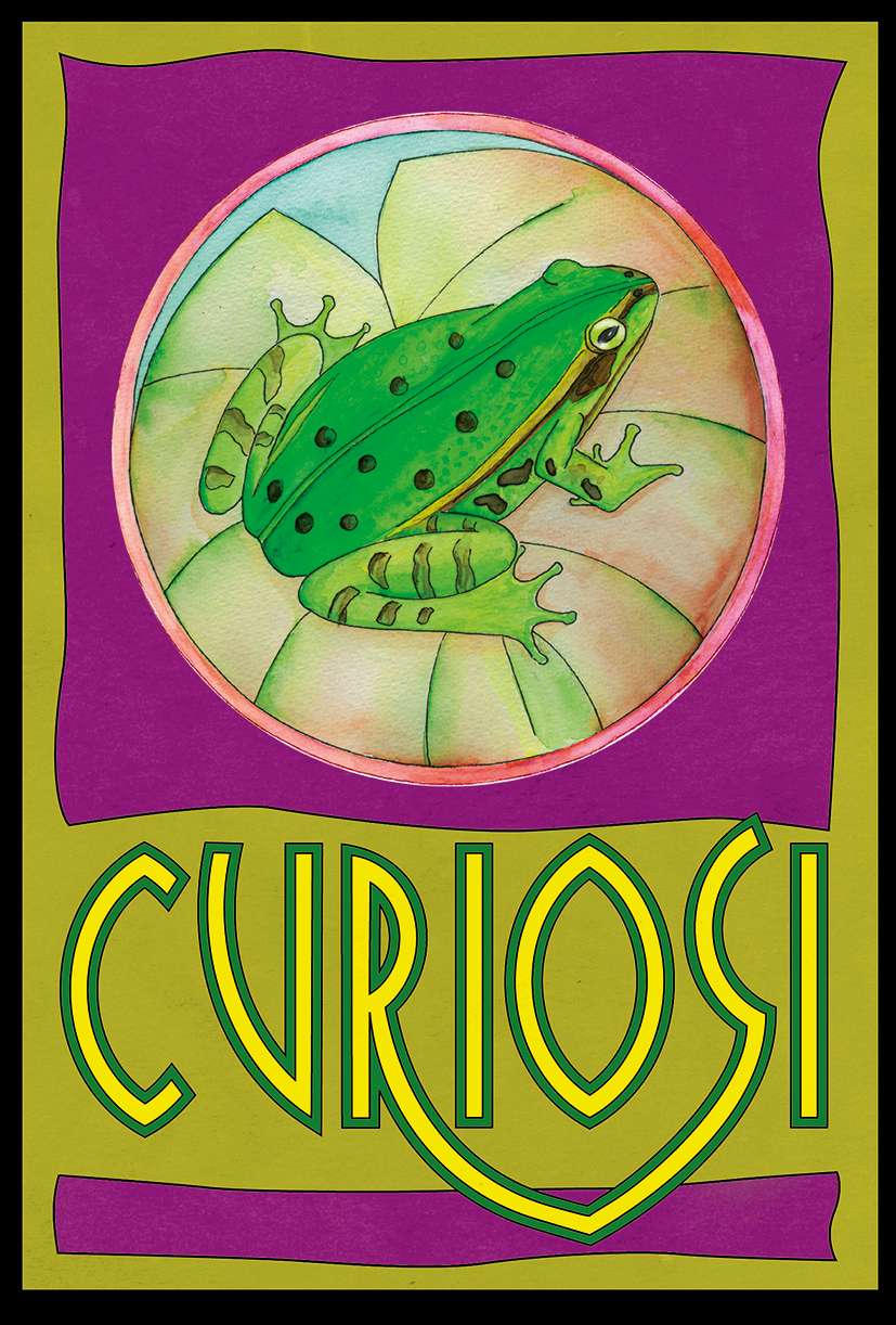 Picoli Puzzle Laubfrosch