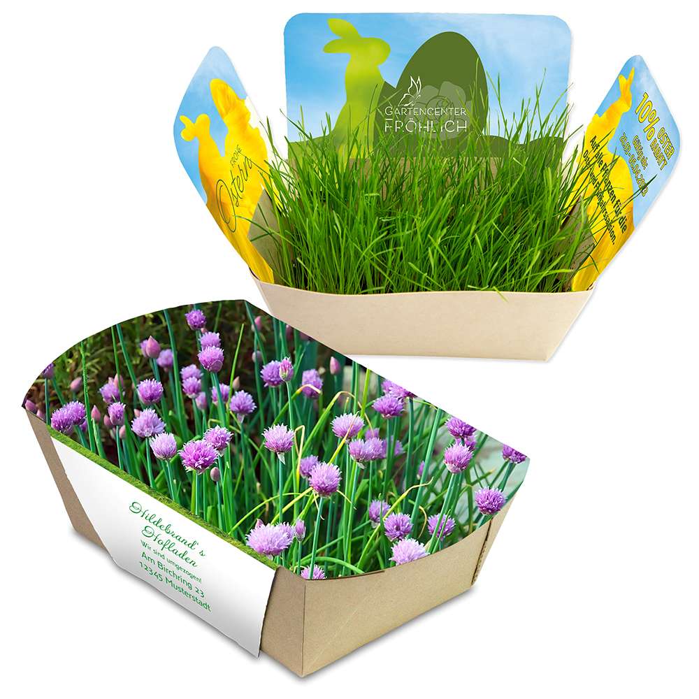 Pflanzodrom mit Samen