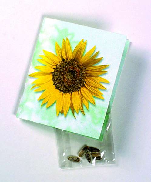 Klappkärtchen Sonne