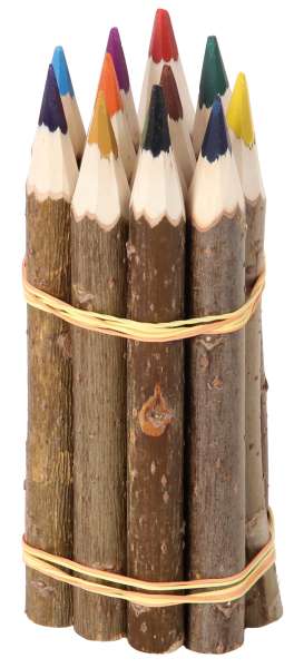 Astbuntstifte 12er-Set