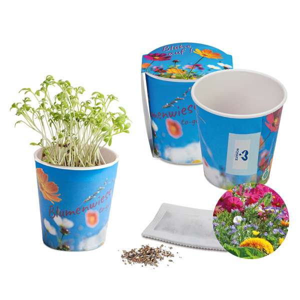 Blumenwiese To-Go - Ostern