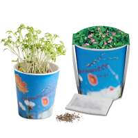 Persischer Klee - Druck individuell 4/0-c