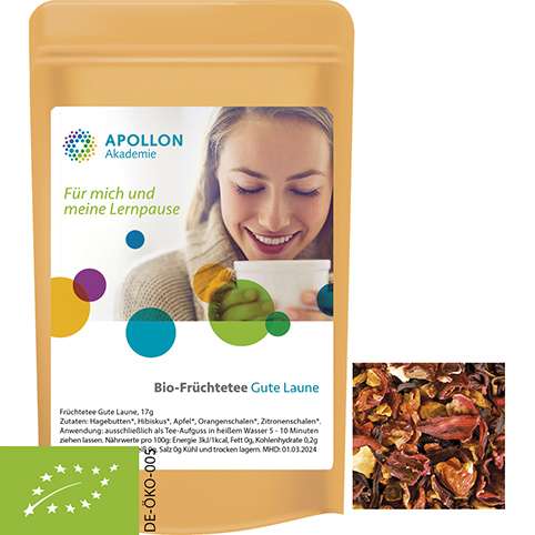Bio Früchtetee gute Laune, ca. 17g, Standbeutel Mini