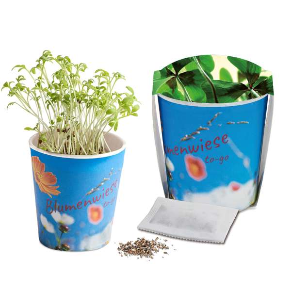 Blumenwiese To-Go - Ostern