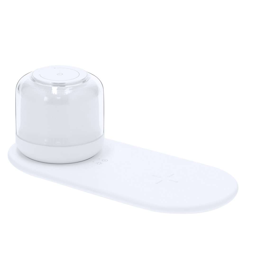 Ladegerät Lampe Reginal