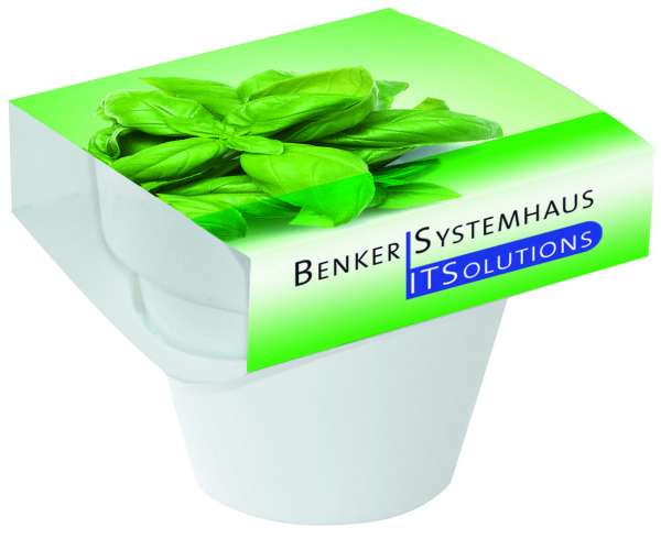 Tontopf Colour Basilikum