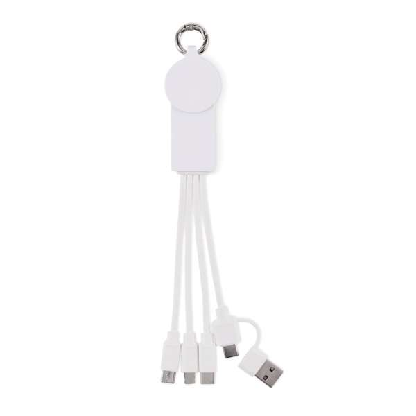 2in1 Ladekabel Typ-C ICAB
