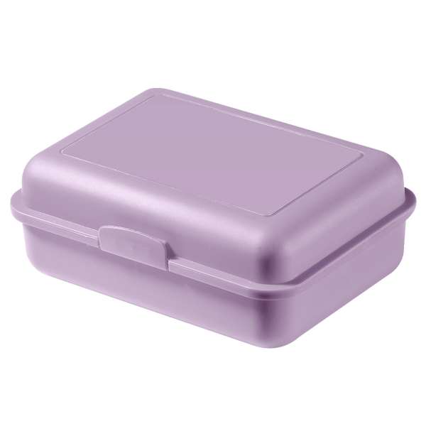 Bio-Vorratsdose 'School-Box'" groß"