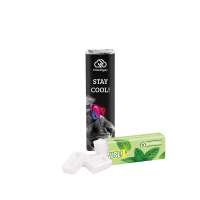 1 Riegel mit 12 Pfefferminzstückchen