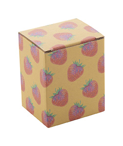 Individuelle Box CreaBox EF-177