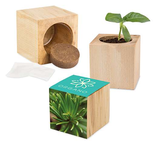 Pflanz-Holz Maxi Xmas mit Fichtensamen