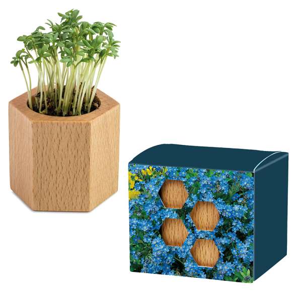 Pflanz-Holz Hexagon mit Samen - Ostern