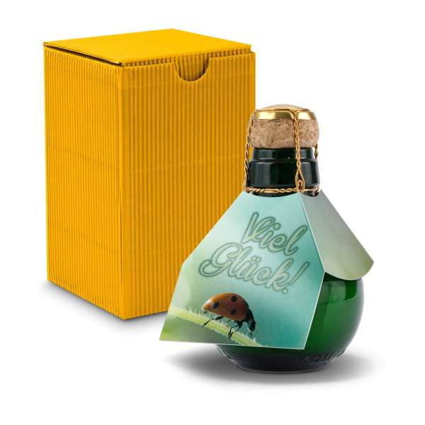 Kleinste Sektflasche der Welt! Viel Glück - Inklusive Geschenkkarton in, 125 ml
