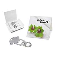 Key Tool Football, Silber