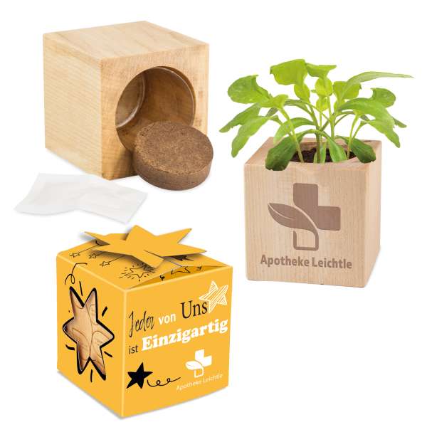Pflanz-Holz Star-Box Ostern